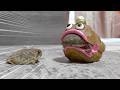Escape! A monster is closing in on the Rain frog.