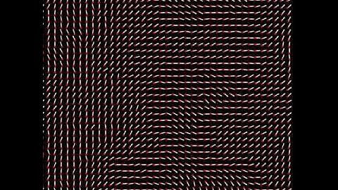 Vortex particle simulation
