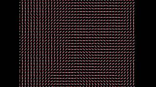 Vortex particle simulation