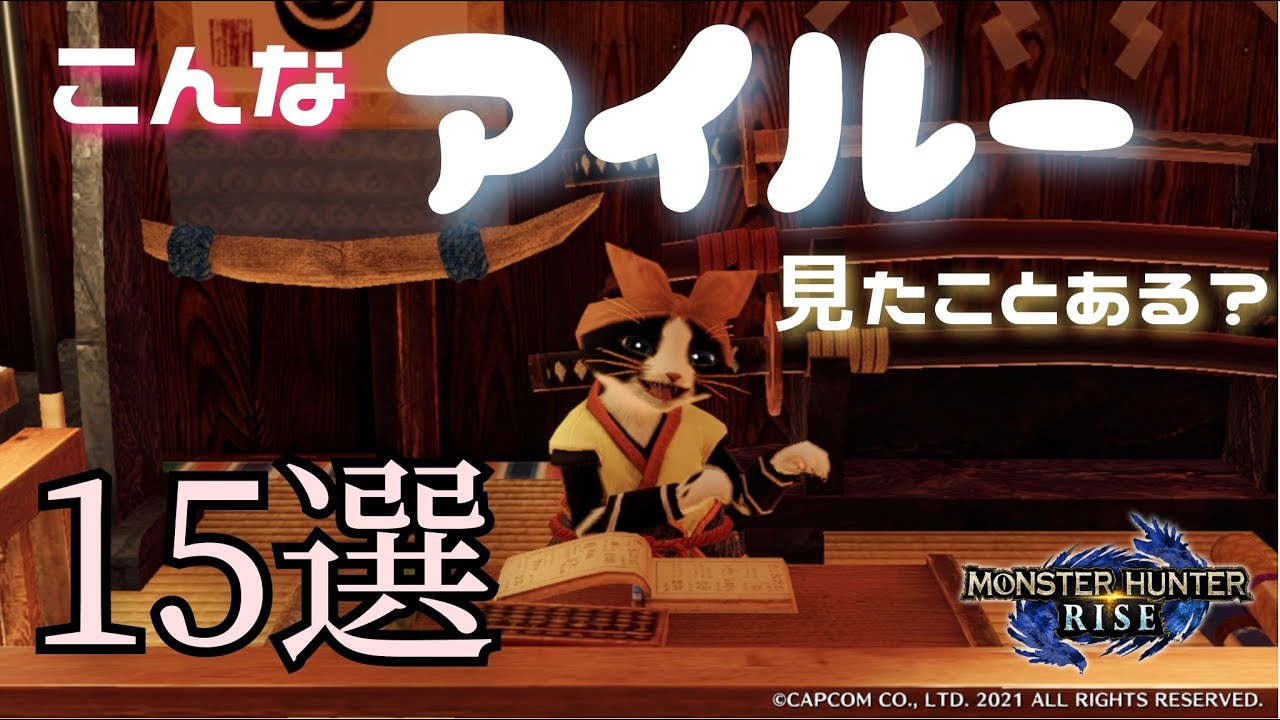 Mhrise 猫好きが選ぶ可愛いアイルー１５選 モンハンライズ 33 Youtube