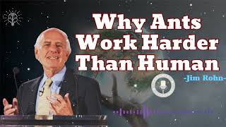 Why Ants Work Harder Than Human - Jim rohn message