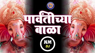 पार्वतीच्या बाळा | Parvatichya Bala | Ganpati Dj Song 2021 | Ganesha Dj Song Marathi