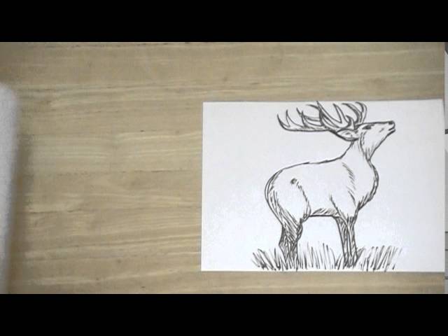 トナカイの絵の書き方と方法とコツ Tips And Methods How To Write Picture Of Reindeer Youtube