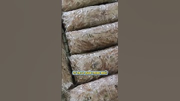 Thấu Hiểu Các Nhóm Khách Hàng #giochadungdo #giocha #giochasach3khong