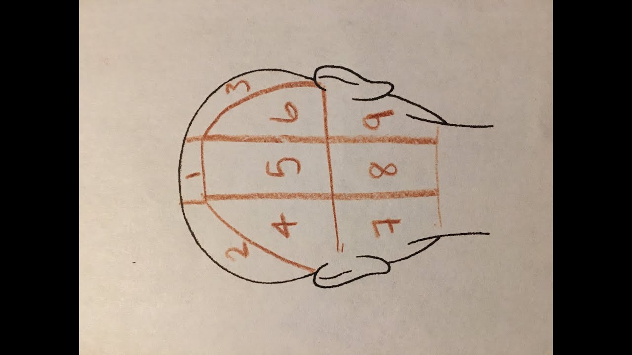 Full head foils tutorial- great for beginners