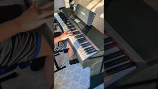 One Of The Best Digital Pianos For Beginners