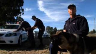 Dog Unit - Nsw Police Force