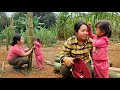 The dance of a 3yearold girl welcoming the bamboo chicken coop prepare for success