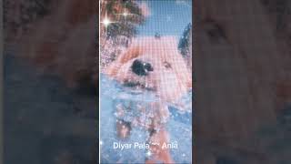 Diyar Pala ~~ Anla