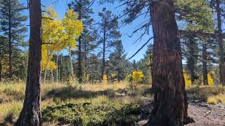 Rampart Reservoir Area - Walk in Crocs