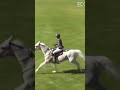 #short #horse #jumping  #subscribe #horses #jump #new #show #edit #my #horses #pferde #slowed #sub