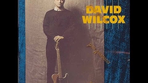 David Wilcox - Layin