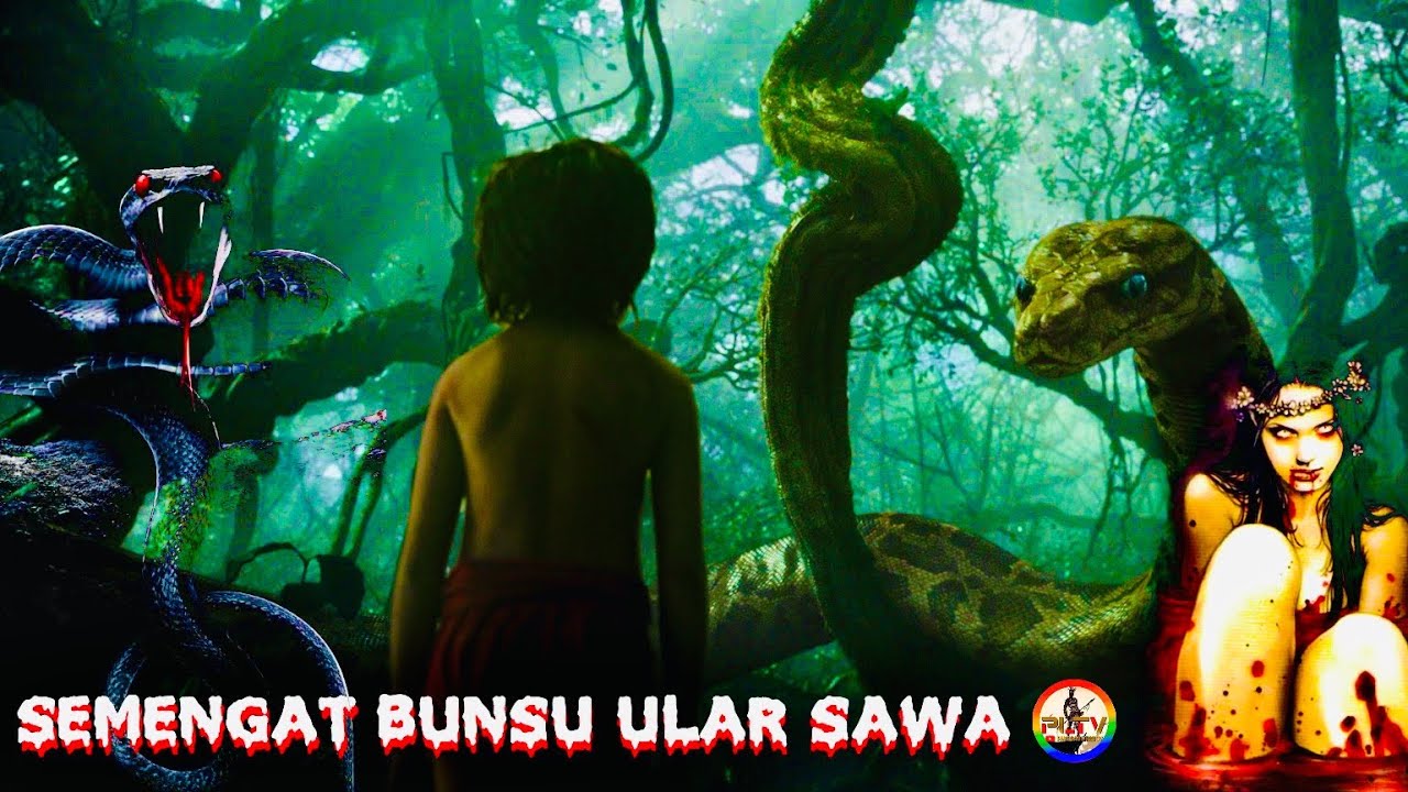 Semengat Bunsu Ular Sawa Tusun-1