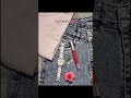 My two sides🌺🦚#shorts#shortvideo#dailynistha#shortsfeed#traditional#music