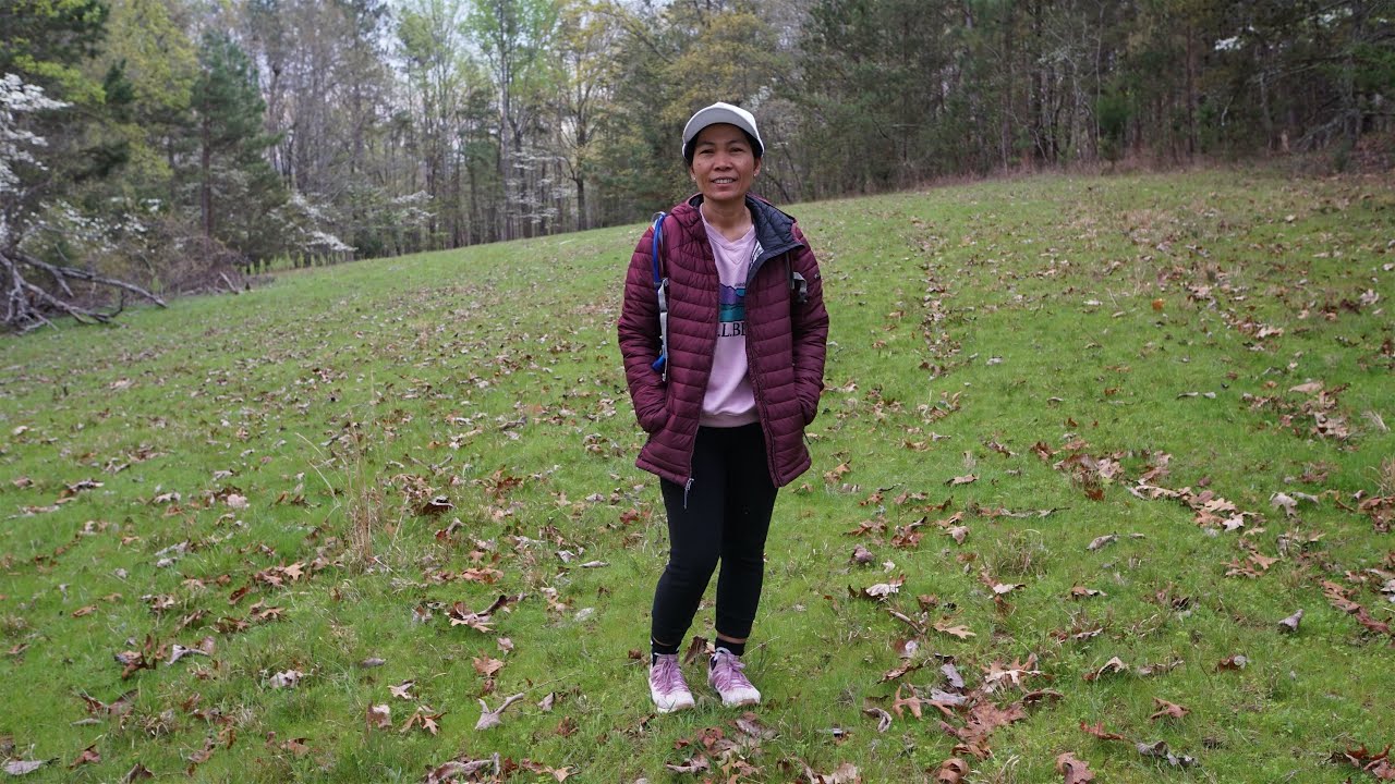 An Early Spring Walk in the Woods - YouTube