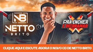 NETTO BRITO - PRA ENCHER E DERRAMAR - VERÃO 2024 CD PROMOCIONAL REPERTÓRIO NOVO