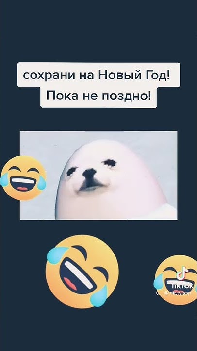 Мандарины шампус надо доставать поднимайтесь. Мандарины шампус надо доставать поднимайтесь
