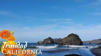 Best Relaxing Piano Music and Ocean Waves | Airy-Fairy Heart by Franz Gordon Best Relaxing Piano Music and Ocean Waves | Airy-Fairy Heart by Franz Gordon
