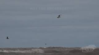 04-13-2020 Ashtabula, OH - Coastal Flooding, Strong Winds, and High Waves