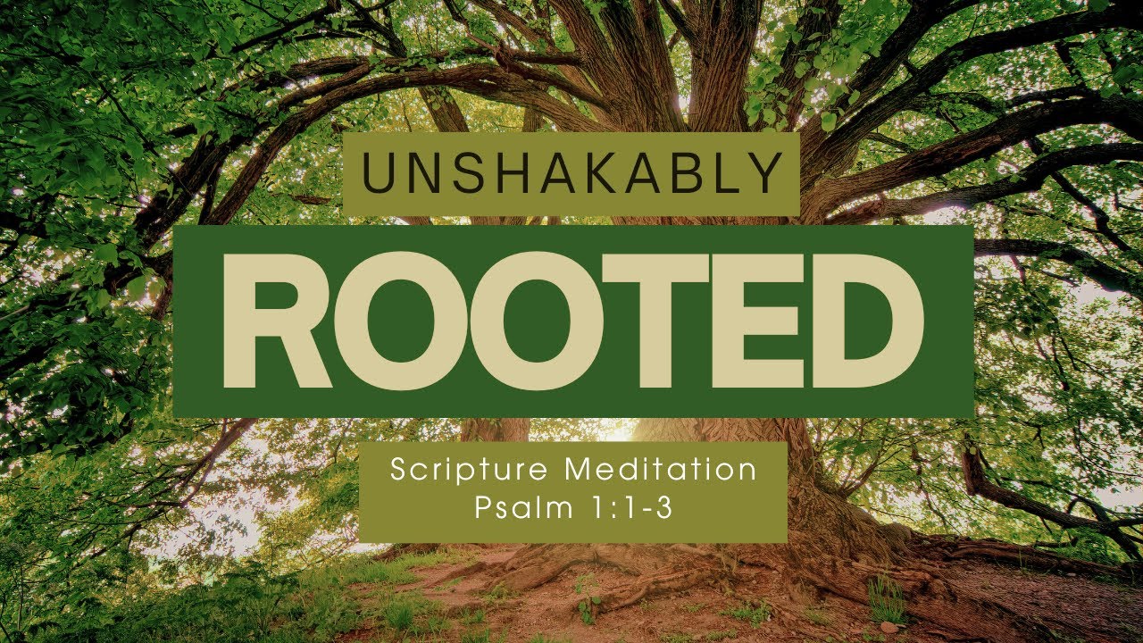 Guided Christian Meditation on Psalm 1 | Rooted in God’s Word | Unshakable Faith Series