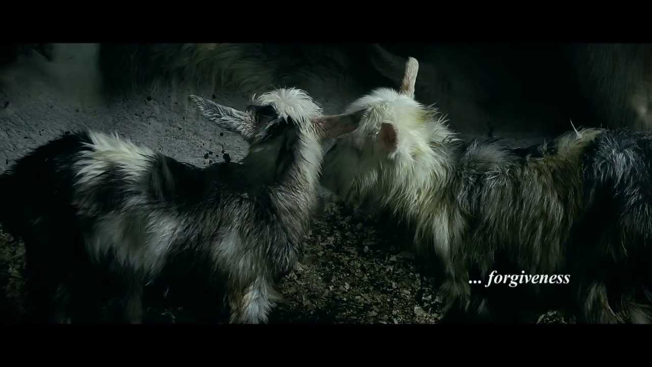 short movie ''forgiveness''