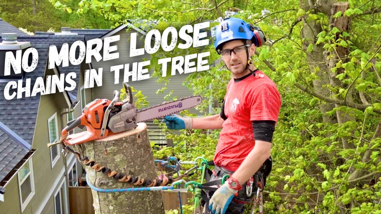 Arborist Pro Tip - Be equipped to tension a loose chain in the tree ...