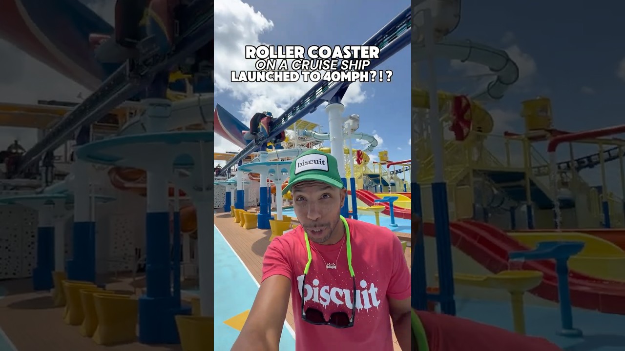 A Roller Coaster…ON A CRUISE SHIP?!?