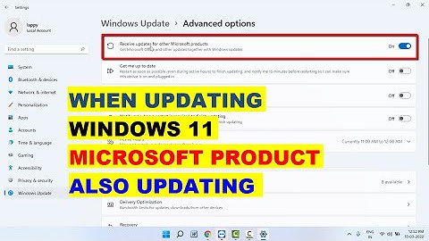 How to Enable or Disable Automatic Updates for Other Microsoft Products in Windows 11