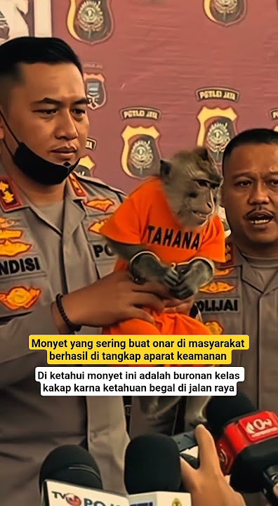 Viral Monkey Arrested by Police😱‼️#viral#viralvideo#trending#shortvideo