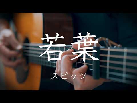 【弾き語り】若葉 / スピッツ　(cover)