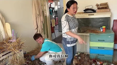 今天这个大哥有意思，竟然背着老婆藏了二套房，如果这是你老公#中国懒人经济时代【深度2003】 - 天天要闻