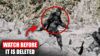 8 Most FRIGHTENING Bigfoot Encounters Caught on Camera [Vol.1]