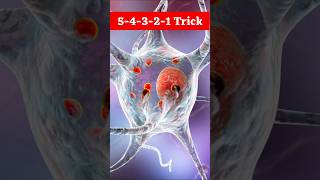 5-4-3-2-1 Trick से झटपट नींद आएगी  #fact #facts #knowledge #information #education #health