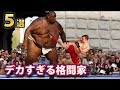 実在するデカすぎる格闘家ランキングTOP5!2メートル超えは当たり前!