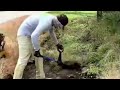 Hello 🤗 | Ultimate Pressure Washing & Lawn Care Transformation | Satisfying Cleaning