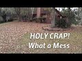 Lawn Mower Mulching Fall Leaf Clean up - Cross Blade Mowing with Timelapse