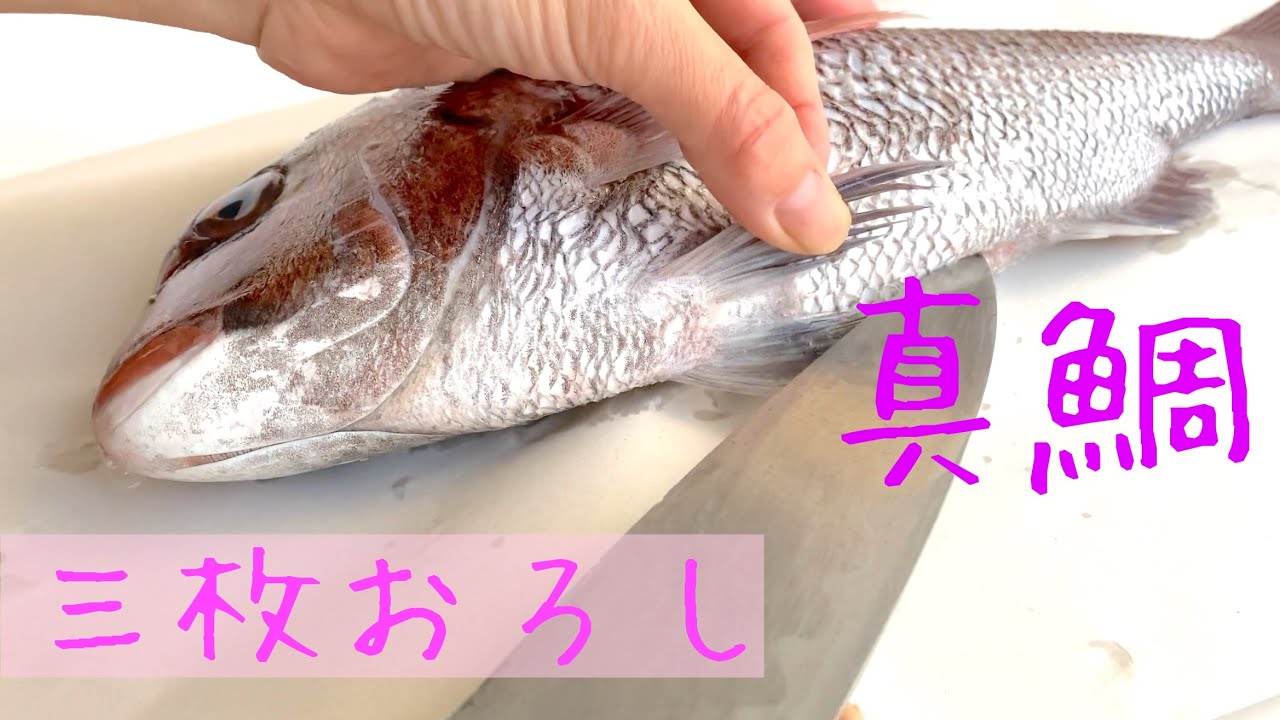 ゆっくりさばく】真鯛の三枚おろし - YouTube