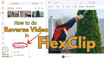 How to do Reverse Video in FlexClip