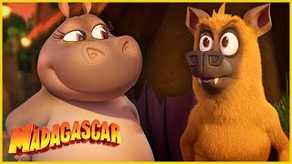 ¡Hay un nuevo murciélago en la ciudad! | DreamWorks Madagascar en Español Latino