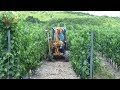 Механическая чеканка винограда / Mechanical vine trimming