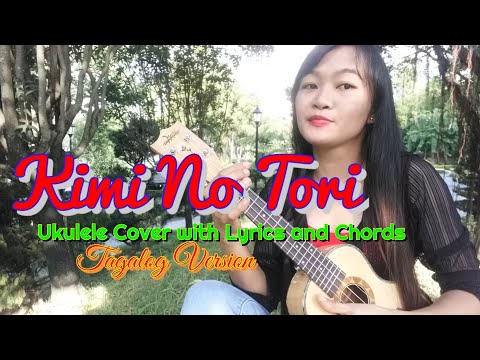 Kimi No Tori Song (Lyrics)