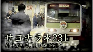 サヨナラ*231【山手線E231系ありがとう】