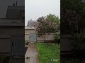 Дождь.19мая 2021год.