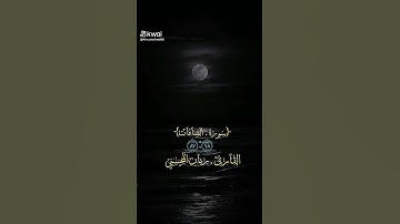 تلاوة خاشعة من سورة الصافات للقارئ ريان المحيسني #اكسبلور #لايك #دويتو #duet