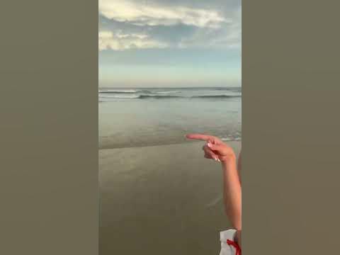 Fyptt - YouTube