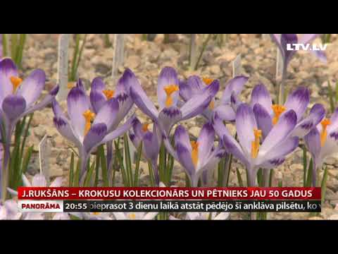 Video: Ko dāvināt vīrietim 50 gadus