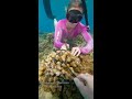 there is plastic stuck to the coral head and she is trying to remove it, but it is deeply tangled