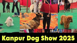Kanpur Dog Show 2025 | Kanpur Dog Market | Cheapest Dog Market
