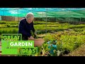 How to Grow ORGANIC Vegetables | GARDEN | Great Home Ideas