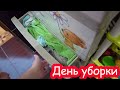 VLOG Выходной у видеоблогеров вовсе не выходной